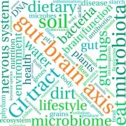 70321428 – gut-brain axis word cloud on a white background. Fordøjelse