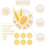 Hvede indhold protein