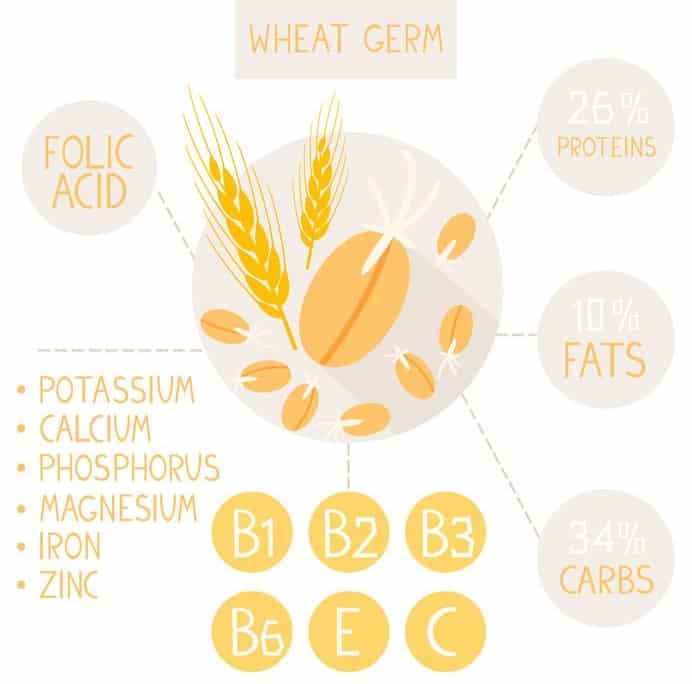Hvede indhold protein