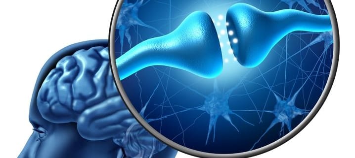 brain hjerne signalstoffer