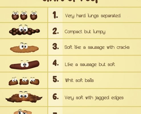 Bristol stool chart afføring