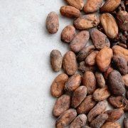 Kakaonibs